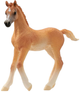 Фігурка Schleich Horse Club Арабське лошатко 8 см (4059433753690) - зображення 1