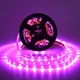 Led фітострічка для рослин 5 метрів SMD2835 - зображення 5