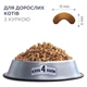 Сухой корм для кошек Club 4 Paws Chicken с курицей 14 кг (4820083909146) - изображение 2