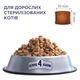 Сухой корм для стерилизованных кошек Club 4 Paws Sterilised с курицей 14 кг (4820083909665) - изображение 2