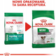 Sucha karma Royal Canin Mini Ageing 12+ dla psów małych ras powyżej 12 lat 1.5 kg (3182550793575) - obraz 7