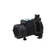 Насос поверхневий поливальний Pumpman TCP158 Нmax 33м Qmax 6куб.м 750 Вт - зображення 1