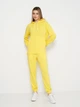 Спортивный костюм женский Olis-Style Стиль 46 Желтый (ROZ6501002809) - изображение 3
