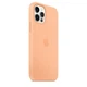 Чехол силиконовый Nskins Premium (AAA) Silicone Case with MagSafe для Apple iPhone 12 Pro Max (6.7") Cantaloupe - изображение 2