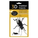 Картонная модель 3D "Cricket-Сверчек" Fridolin 11603 - изображение 2