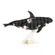 Картонная модель 3D "Whale-Кит" Fridolin 11634 - изображение 1