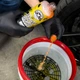 Автошампунь Chemical Guys быстродействующий, который очищает смолы и следы от насекомых Bug Plus Tar Remover Heavy Duty Car Wash Shampoo - 473мл - изображение 2