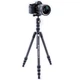 Штатив Vanguard Vesta TB 204CB (Vesta TB 204CB) - зображення 6