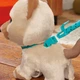 Интерактивная игрушка котенок Фурриал FurReal friends Walkalots Large Racker Interacti Toy Cat - изображение 6