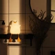 Ночник Duck Night Light Shinedo SD-SR118 LED 1W USB Type-C - зображення 9