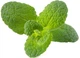 Wkład wymienny Click&Grow Mięta jabłkowa 3 kapsułki (4742793001814) - obraz 2