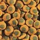Корм для донных аквариумных рыб в таблетках Tetra Pleco Spirulina Wafers со спирулиной 3.6 л (1.75 кг) - изображение 4