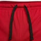 Шорты мужские баскетбольные Jordan Sport Dri-FIT Short размер S (DH9077-687) - изображение 3