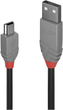 Kabel Lindy USB Type-A - mini-USB M/M 2 m Black (4002888367233) - obraz 1