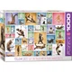 Пазл Eurographics Йога Кішки 1000 елементів (6000-0953) - зображення 1