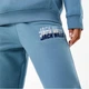 Спортивні штани Jack Wills Stacked Graphic Jogger Shadow Blue, XS (42) (11874059) - зображення 3