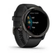 Смарт-годинники Garmin Venu 2 Slate Stainless Steel Bezel with Black Case and Silicone Band (010-02430-11/01) - зображення 4