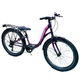 Підлітковий Велосипед 24 Betty-Рама-11 violet-pink З багажником від 125 см зріст - зображення 1