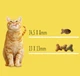 Сухий корм Friskies для дорослих кішок з лососем та овочами 300 (г) - зображення 2