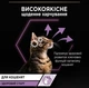 Вологий корм для кошенят Purina Pro Plan Junior Nutrisavour Шматочки в паштеті з індичкою 13 шт по 75 г - зображення 3