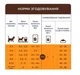 Влажный корм для котят Club 4 Paws Premium pouch 12 шт по 80 г (лосось в соусе) - изображение 4