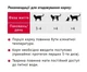 Влажный корм для взрослых кошек Мяу желе с телятиной и овощами 12 шт по 100 г - изображение 2