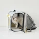 Рюкзак-перенесення PETKIT Breezy xZone Pet Carrier P7703-G Grey - зображення 4