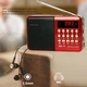 Радиоприемник цифровой с аккумулятором и ремешком Радио FM LED-дисплей MP3-плеер USB-рекордер RED - изображение 2