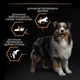 Сухой корм для собак Purina Pro Plan Medium Adult с курицей 14 кг (7613035120488) - изображение 8