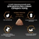 Сухой корм для собак Purina Pro Plan Medium Adult с курицей 14 кг (7613035120488) - изображение 10