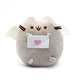 Мягкая игрушка 2Life Pusheen Кот с письмом в лапках - изображение 1