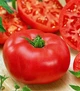 Томат Ред Кемел GL Seeds 0,15 г - изображение 2