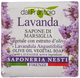 Naturalne mydło Nesti Dante Dal Frantoio Lavanda 100 g (8003445000859) - obraz 1