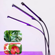 Фітолампа Led Plant Grow Leight USB Потрійна (Чорний) - зображення 6