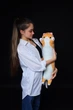 Детская игрушка плюшевая обнимашка Кот батон 70 см подушка Коричневый 9007/70 - изображение 1