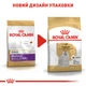 Корм для дорослих собак породи Мальтійська болонка ROYAL CANIN MALTESE ADULT 500 г (3995005) - изображение 6