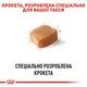 Корм для дорослих собак ROYAL CANIN DACHSHUND ADULT 1.5 кг - зображення 4