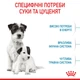 Сухий корм для новонароджених цуценят мініатюрних порід ROYAL CANIN MINI STARTER 8 кг (2990080) - изображение 3
