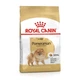Сухий корм для дорослих собак породи Померанський шпіц ROYAL CANIN POMERANIAN ADULT 1,5 кг (1255015) - изображение 1