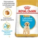 Корм для цуценят ROYAL CANIN LABRADOR PUPPY 12,0 кг (249112019) - изображение 2