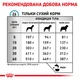 Корм для дорослих собак ROYAL CANIN SKIN CARE ADULT DOG, при дерматозах і надмірному випаданні шерсті - 2 кг - изображение 5
