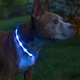 Світлодіодний LED нашийник Lesko Blue S USB, що світиться для собак і котів - зображення 4