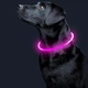 Світлодіодний LED нашийник Lesko L-18 Pink L для собак і котів USB водовідштовхувальний, що світиться - зображення 2
