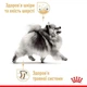 Корм Royal Canin Pomeranian Adult корм для взрослых собак породы померанский шпиц 1,5 кг + 4 паучи - изображение 3