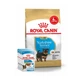 Корм Royal Canin Yorkshire Puppy Набор корма корма для щенков йоркширский терьер 1,5 кг+ 4 паучи - изображение 1