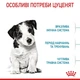 Сухий корм Royal Canin Mini Puppy для цуценят малих порід 1,6 кг + 400 г - зображення 3