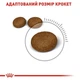 Корм Royal Canin Hair Skin Care с проблемной шерстью набор корму для кошек 2 кг + 4 паучи - изображение 5