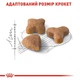 Корм Royal Canin SENSIBLE чувствительное пищеварение набор корму для кошек 2 кг + 4 паучи - изображение 4