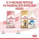 Корм Royal Canin Kitten для котят на каждый день (до 12 месяцев) набор корму 2 кг + 4 паучи - изображение 7