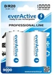Акумулятор everActive D/HR20 10000 mAh BL 2 шт. ( Акумулятор ) 20542 - изображение 1